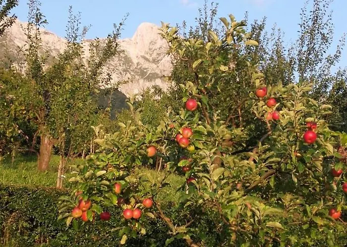 Διαμέρισμα Bric *